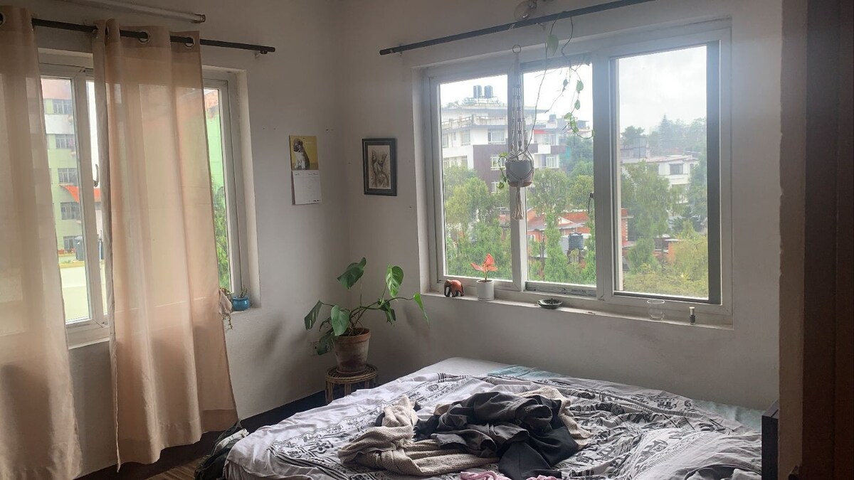 Shared Apartment at SanepaChowk