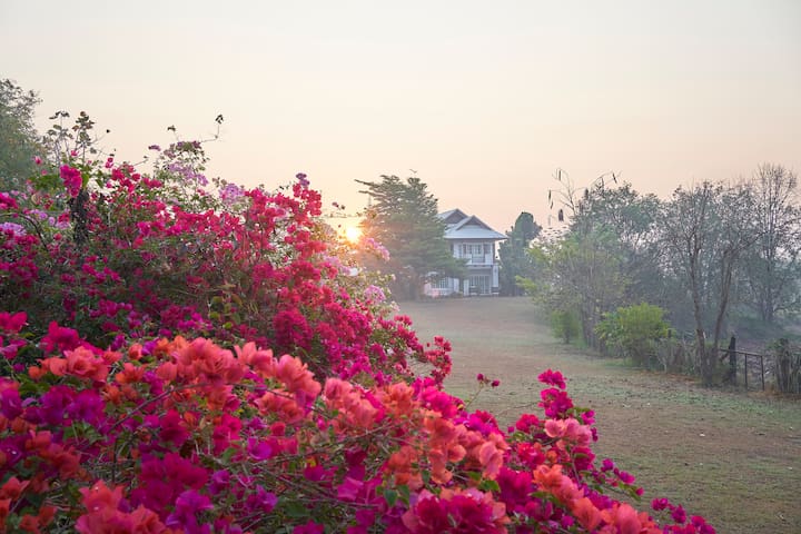 Phu Kradueng District的民宿