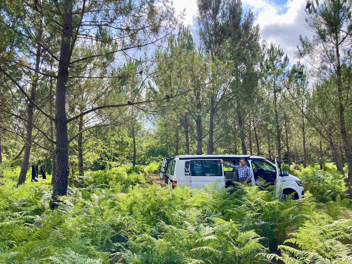 面包车/帐篷位置