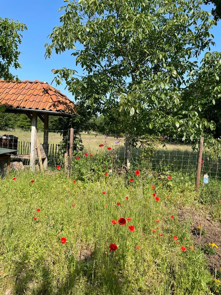 4-Jahreszeiten Ferienhaus mit Seeblick