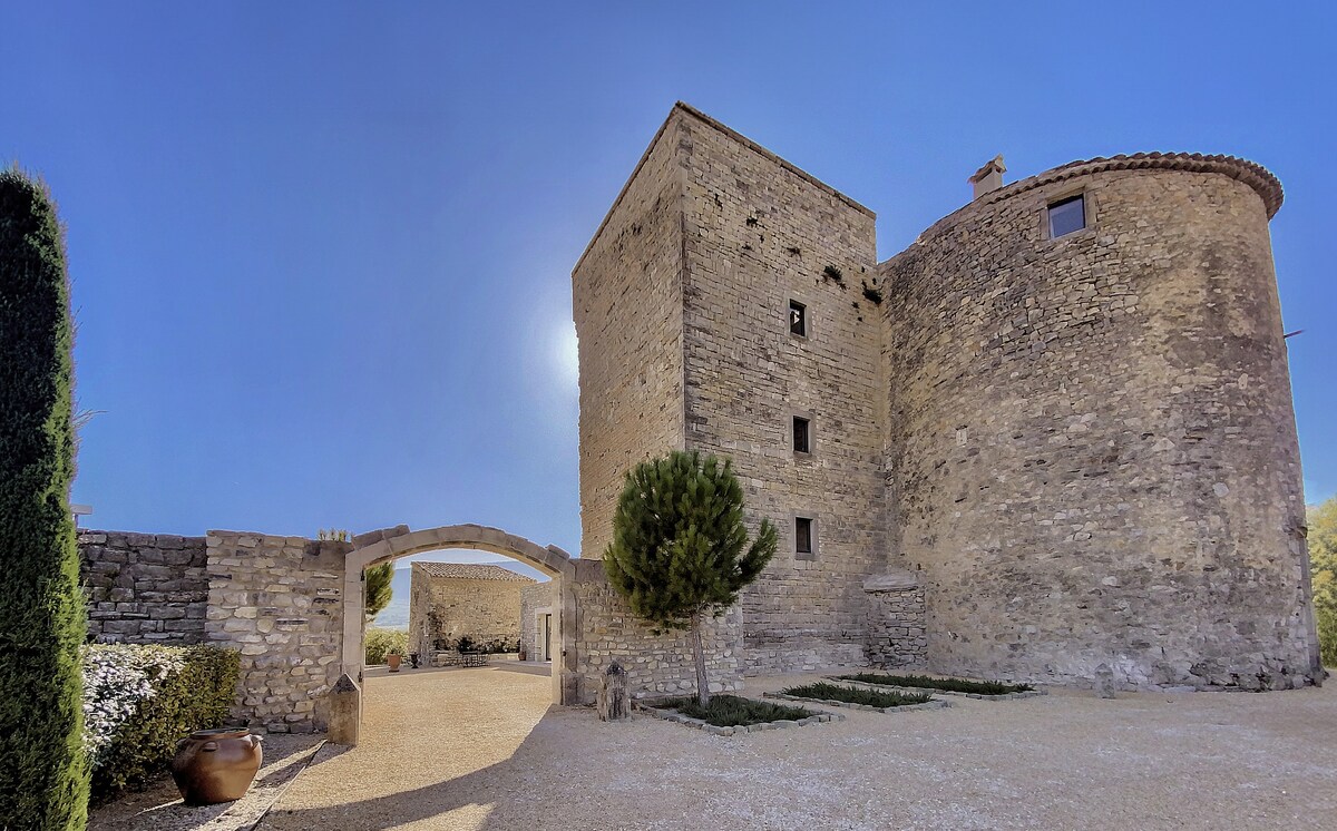 Castle in Drôme Provençale
