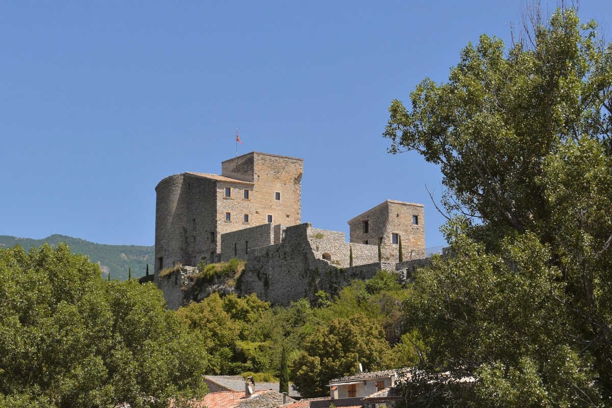 Castle in Drôme Provençale