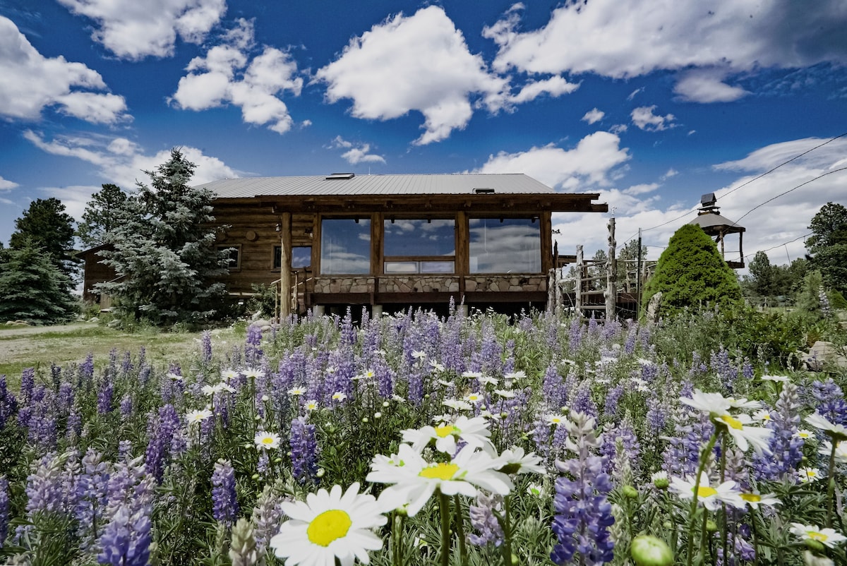 Vintage Log Cabin in the Wild West near Mesa Verde