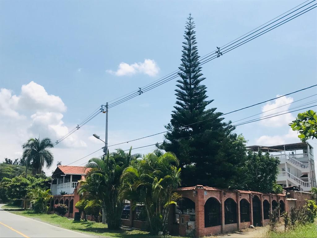 Arcos de Jalisco en Rozo Valle