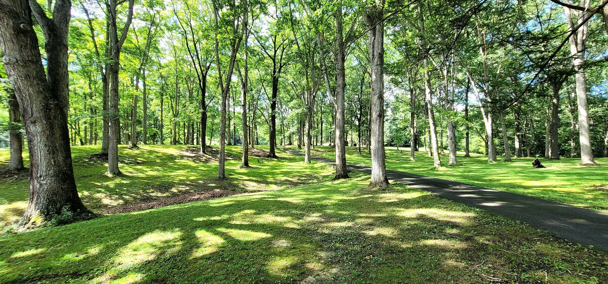 The Tree Garden