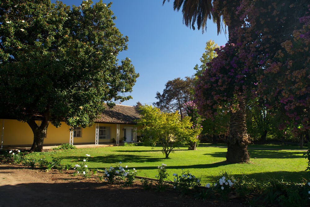 Casa de Campo y Viñedos