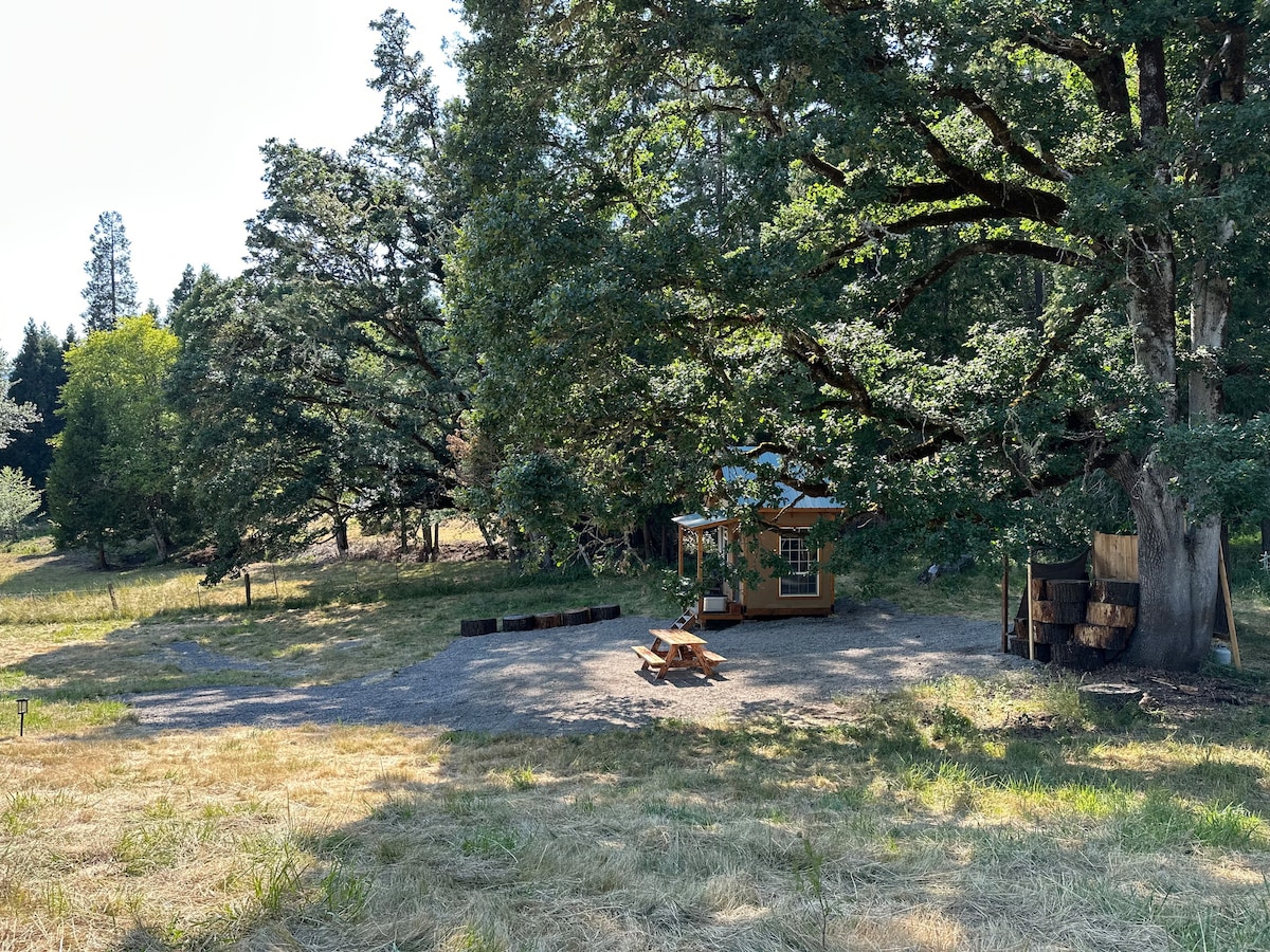 Off Grid Cabin under an Oak Tree