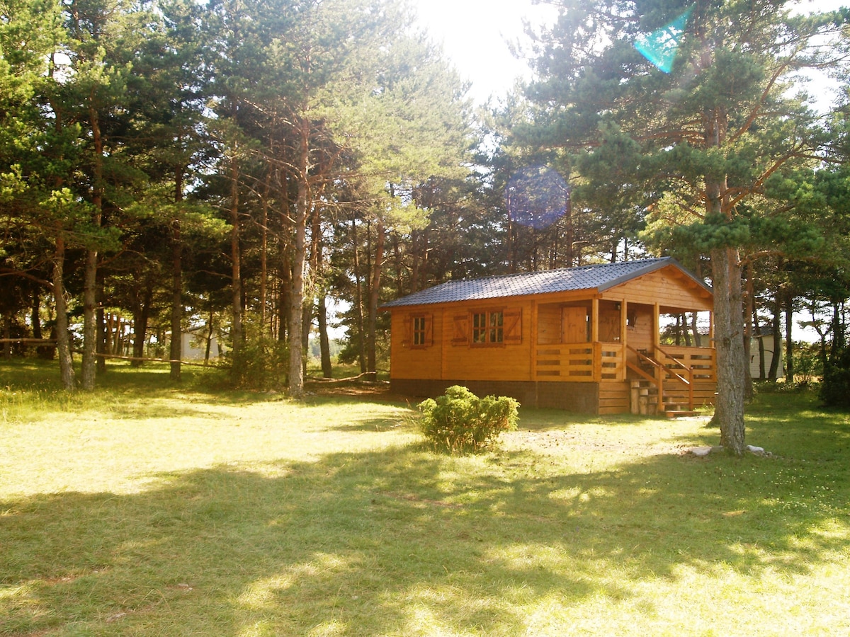 Chalet 2 chambres en pleine nature