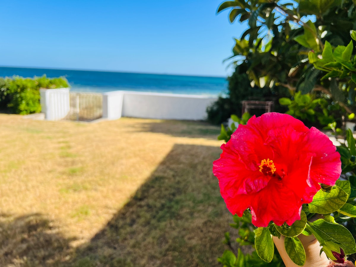 Beach Loft Beach Poet Beach