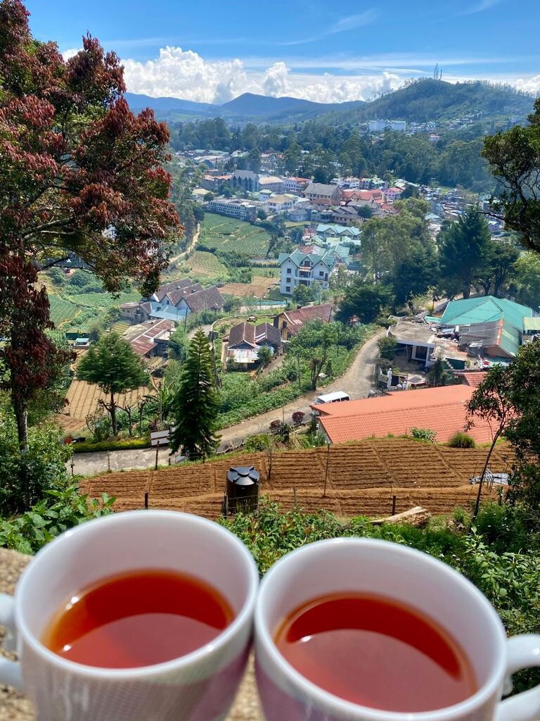 诚挚的荒野家庭住宿