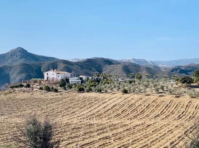 阿尔梅里亚（Almería）的民宿