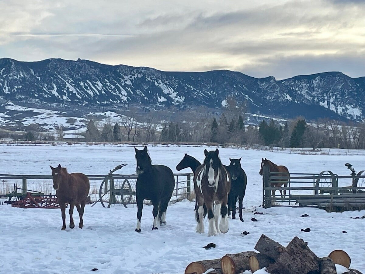 Gorgeous mountain views, idyllic ranch setting