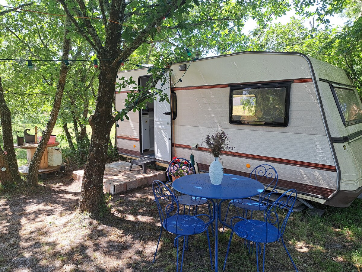 Caravane sous les chênes