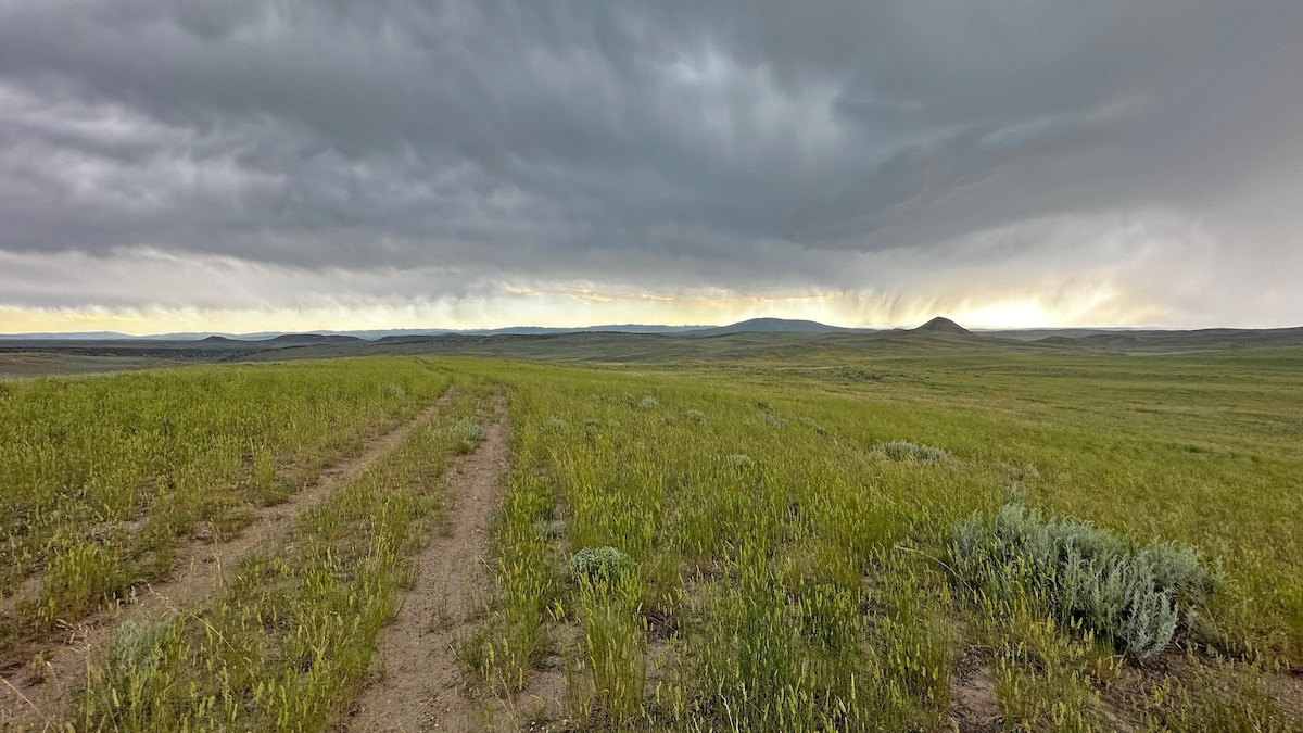 22,500-acre Wild Horse Refuge