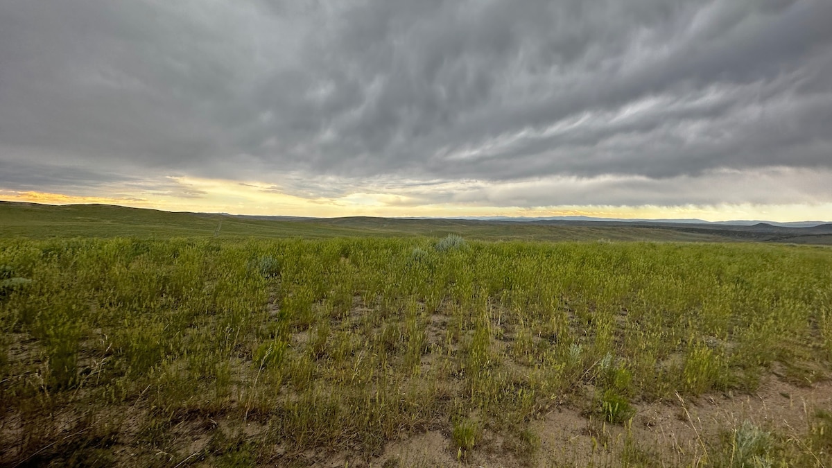 22,500-acre Wild Horse Refuge