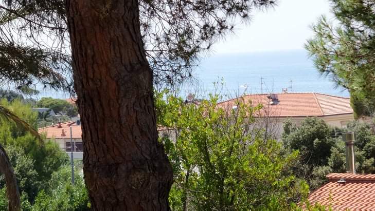 Il terrazzino vista mare a 80 m. autobus <>Livorno