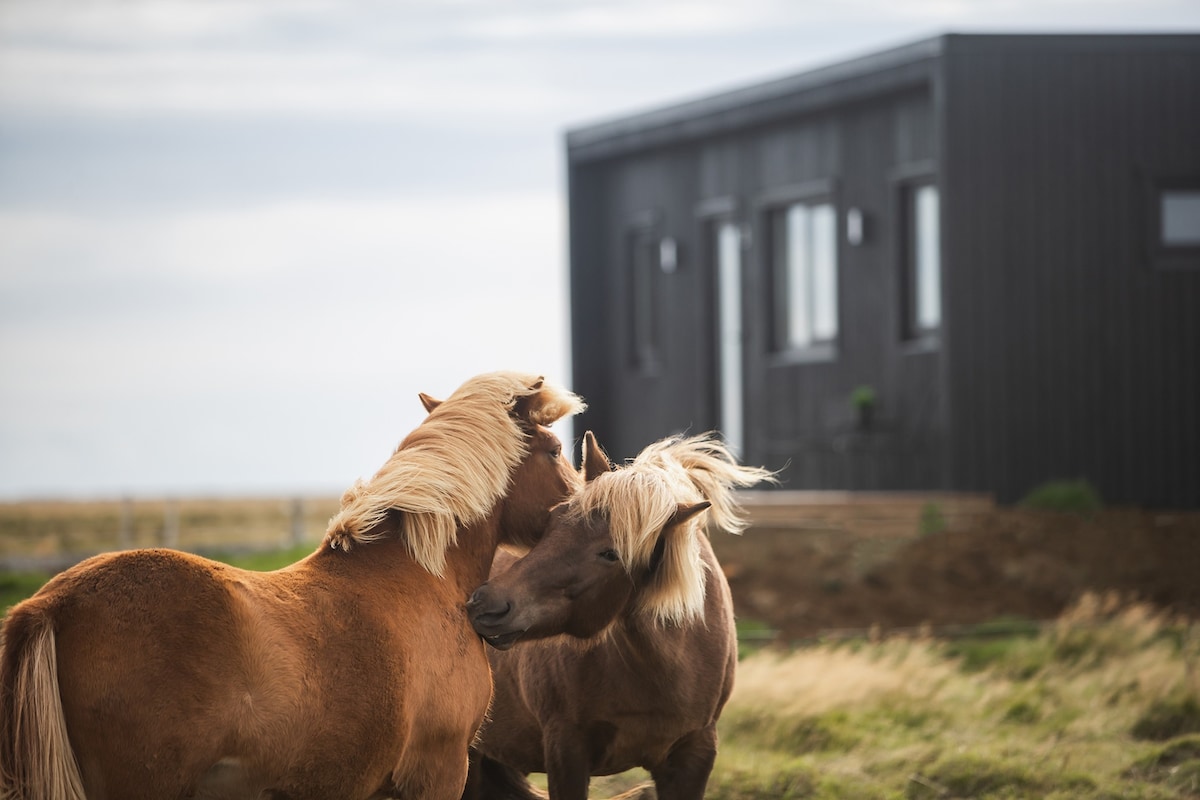 Skógsnes II - Selfoss (cottage 1)