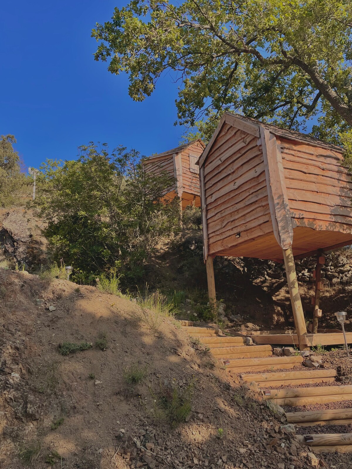 Cabane dans les arbres "Boréale" - Terrasse & vue