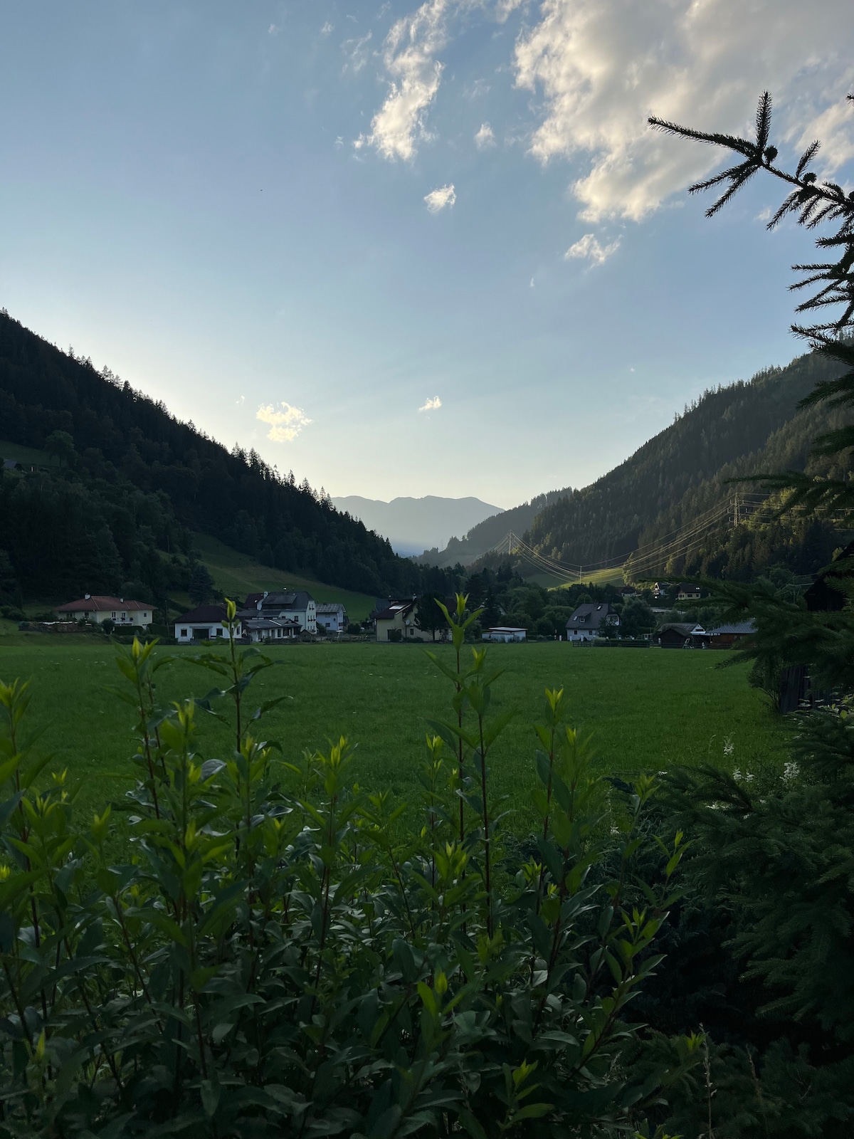 Naturparadies Nähe Grüner See