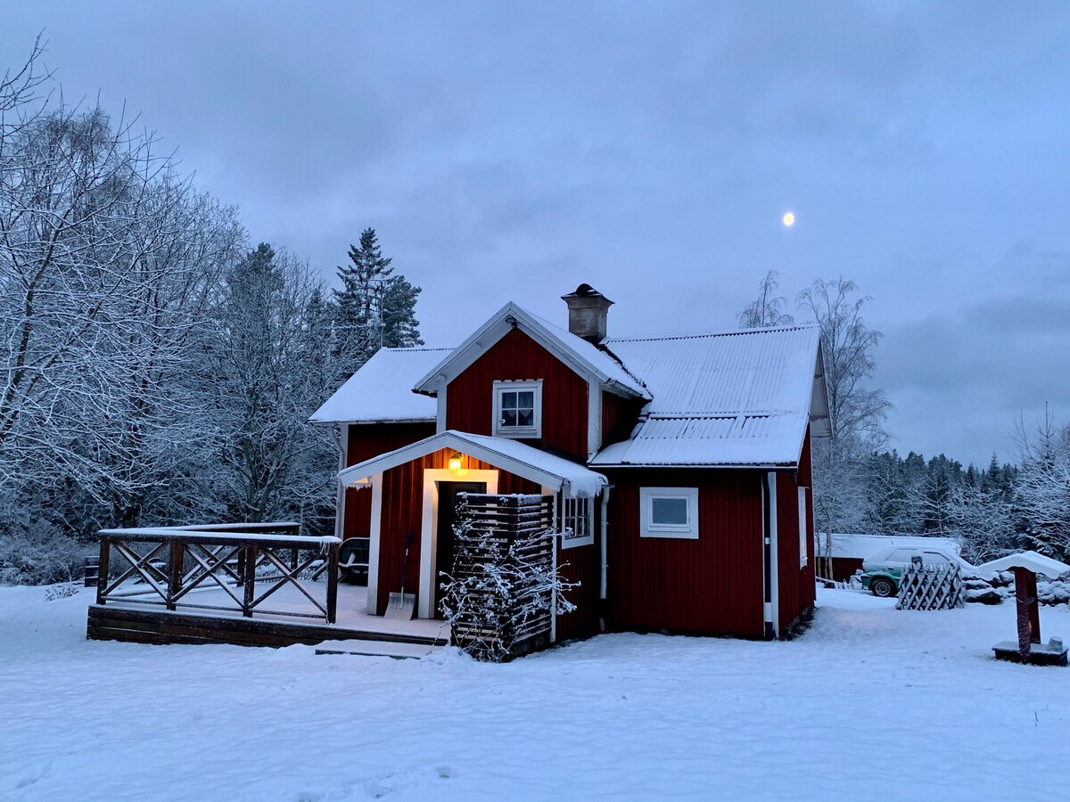 Stuga i rofylld skogsmiljö