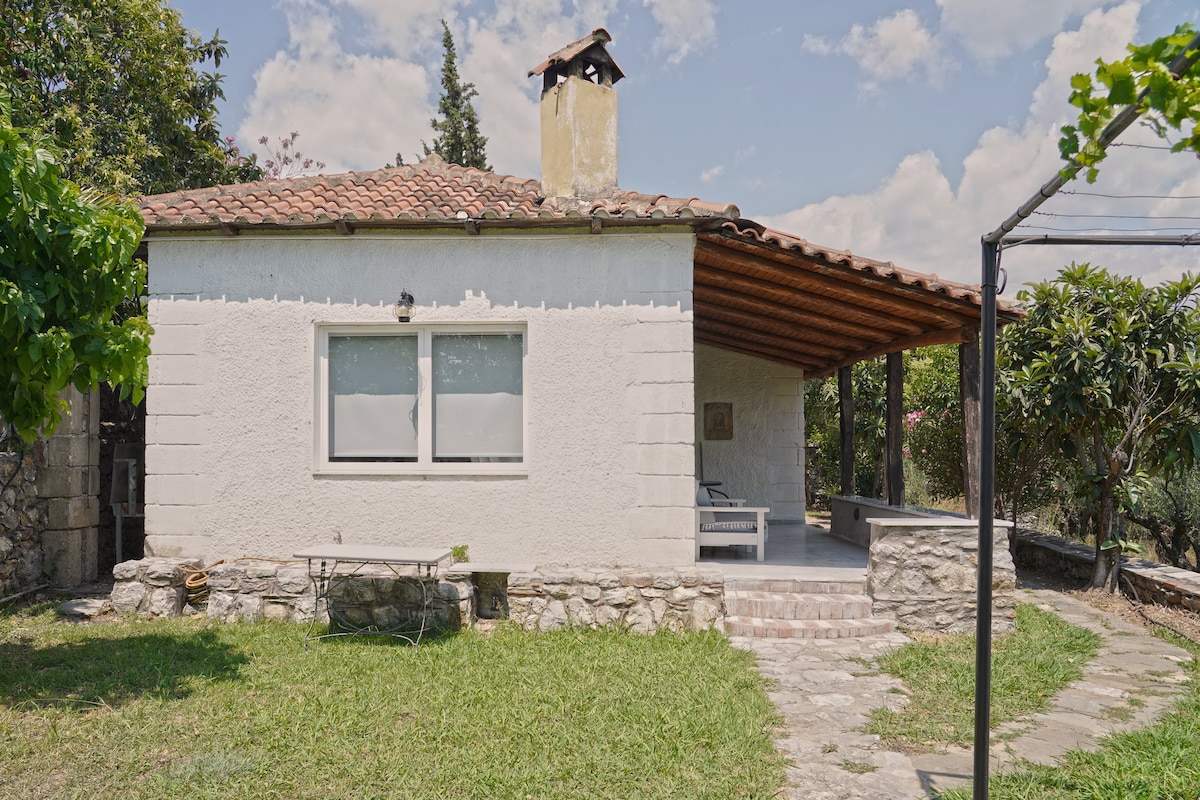 Proto - Traditional cottage house