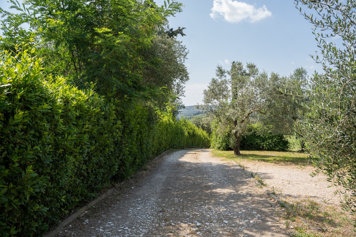 Cappella immersa nel verde