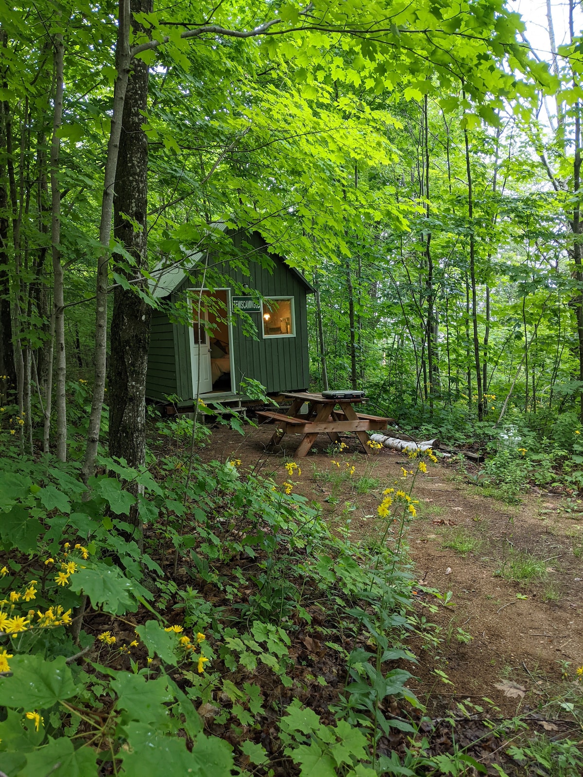 Cabine rustique sous l'érablière