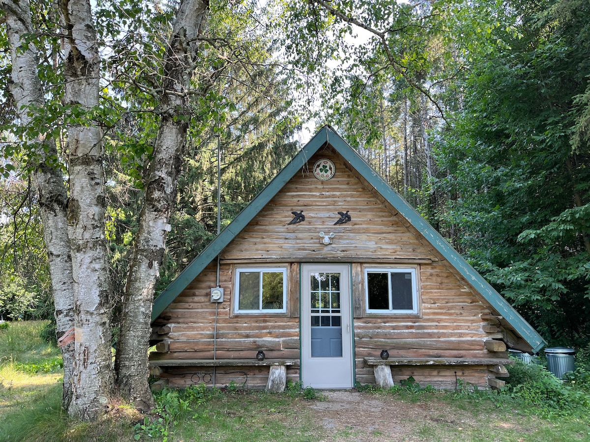 Log Cabin by Lake Michigan