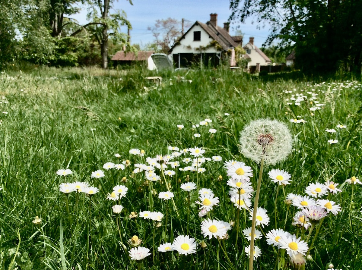 Maison au calme à la campagne centre val de loire