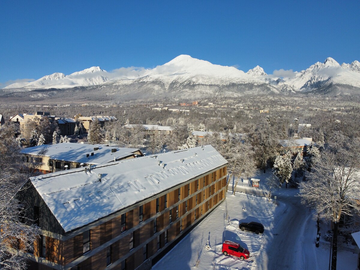 Tatrystay Luxury Penthouse Apartment PodLesom