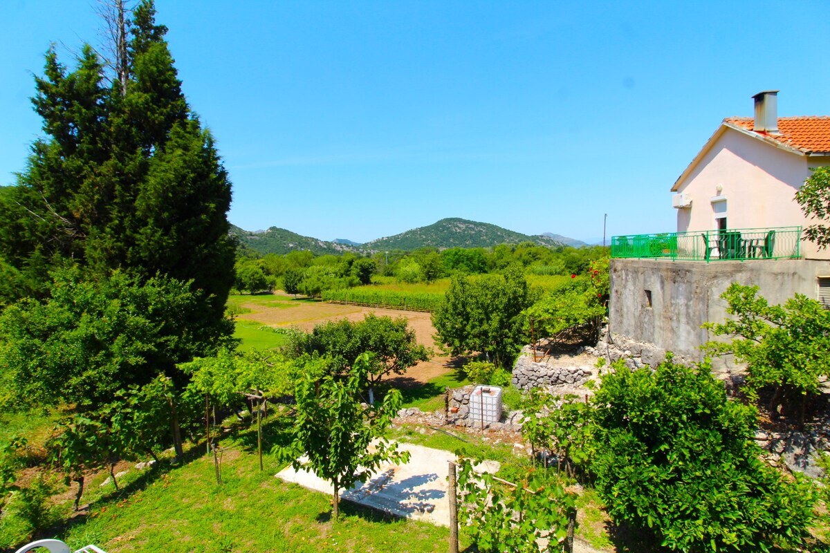 Village house