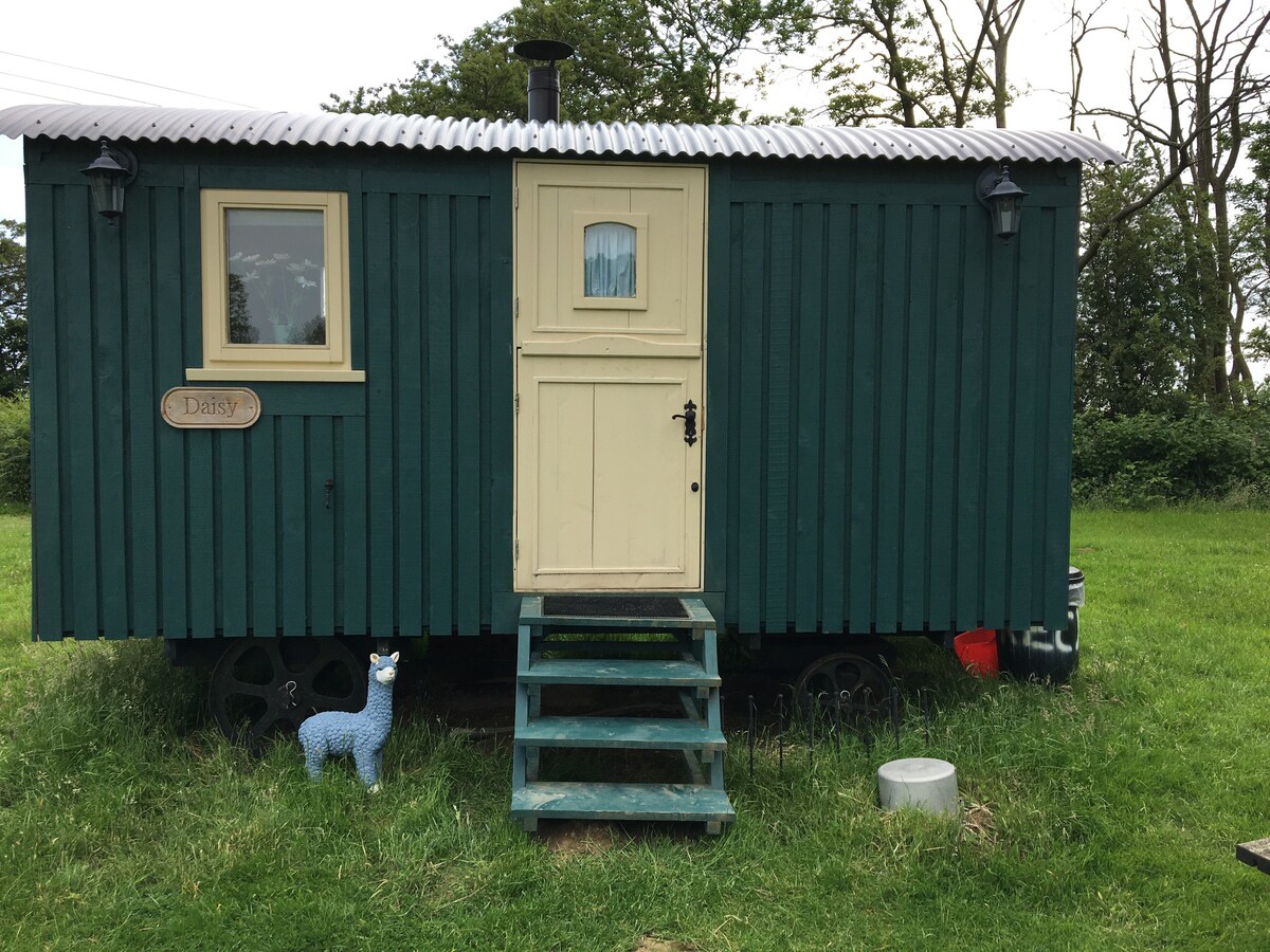 Shepherds hut (DY) Bluecaps Farm, Cousley Wood