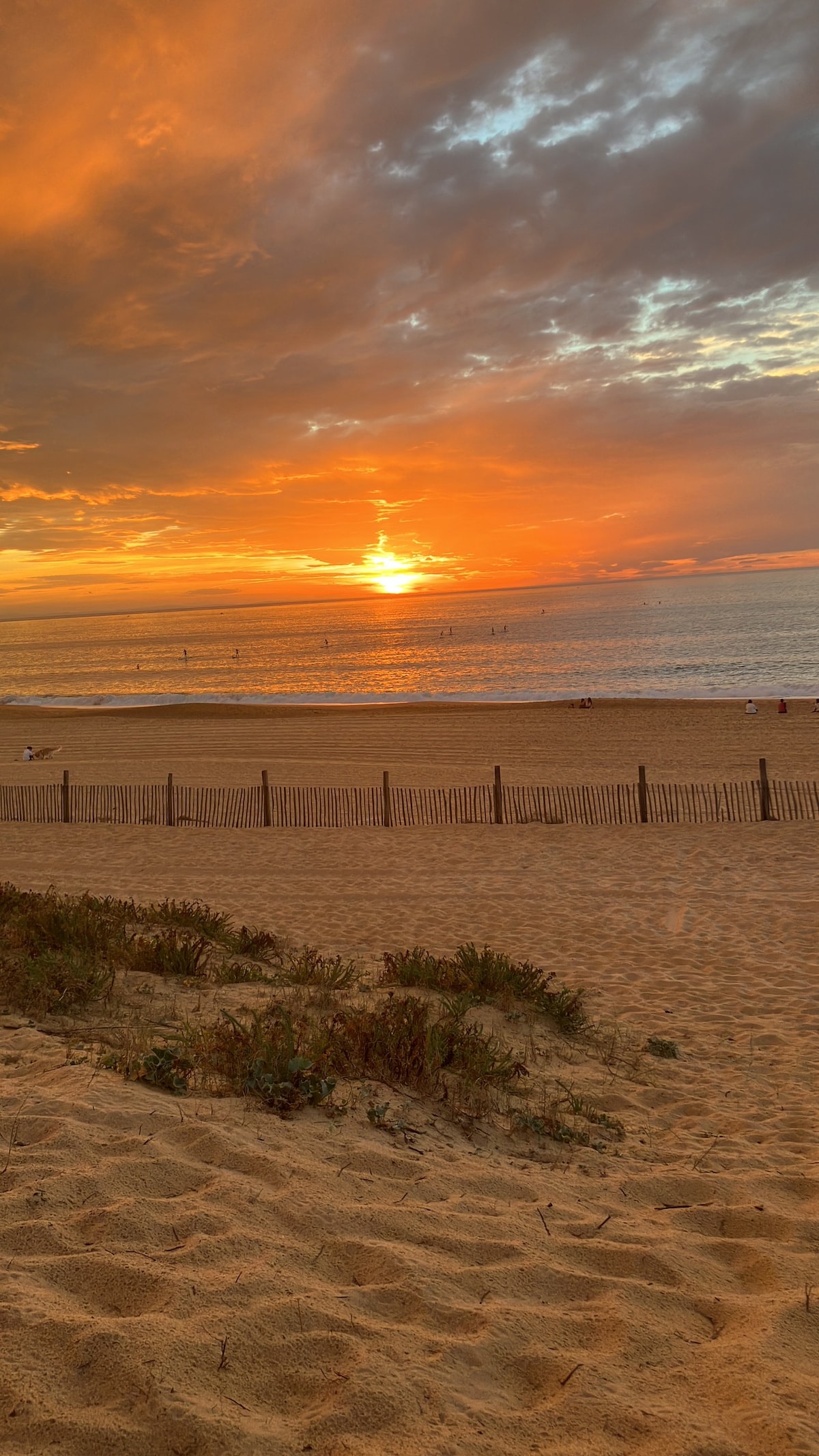 Appartement sur la Dune Hossegor