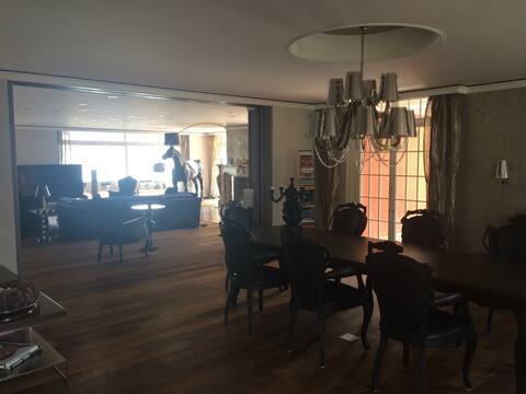 Penthouse Apartment