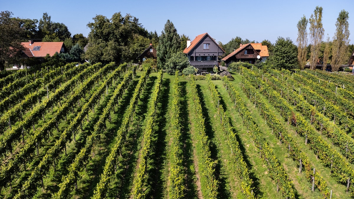 Schilcherlandleben - Weingartenhaus
