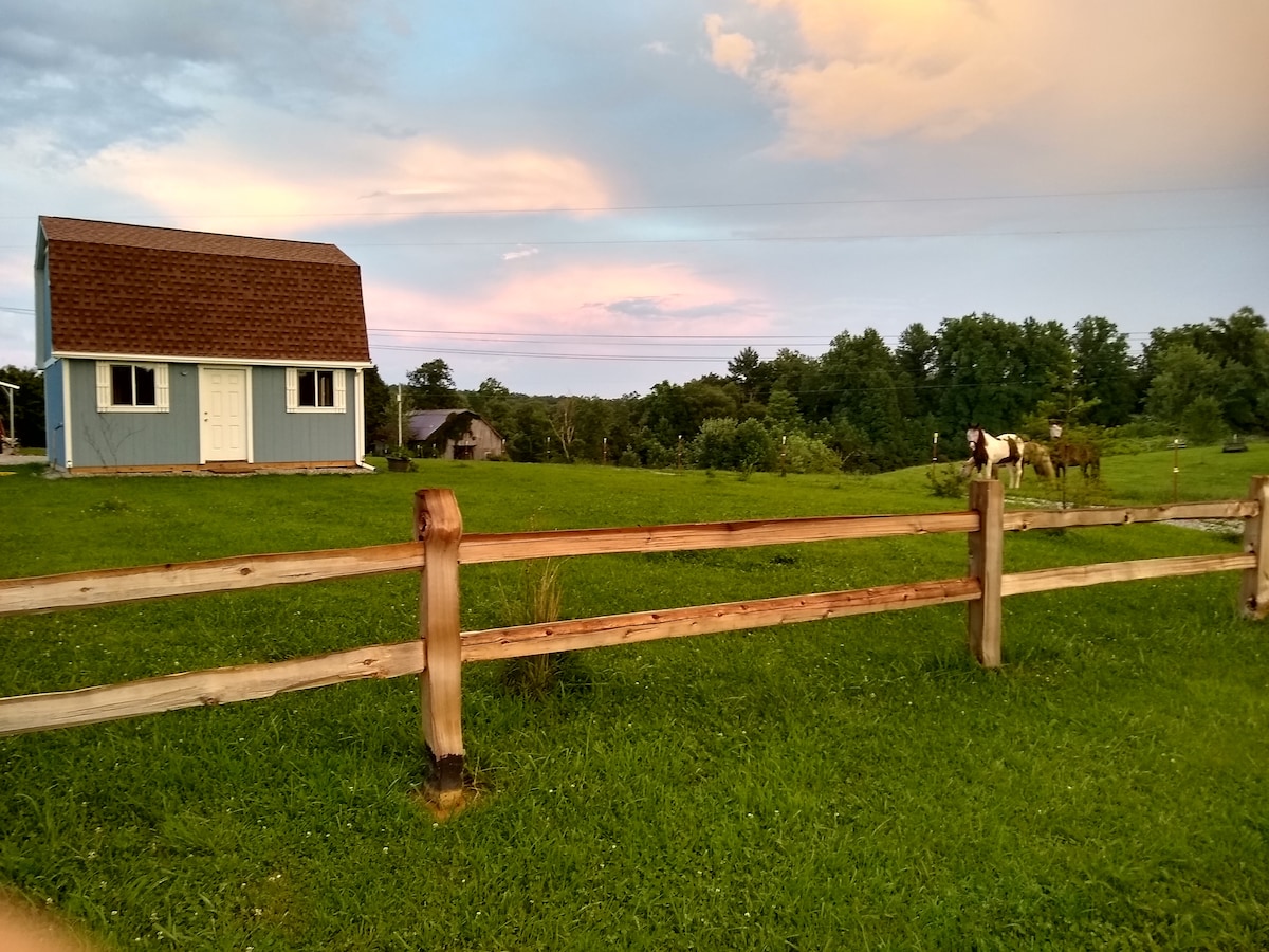 Baby blue cottage