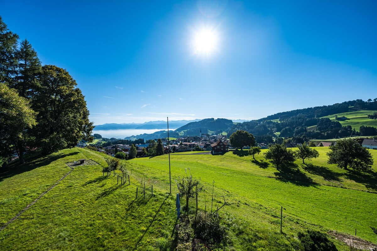 Appenzeller Haus -观景天堂