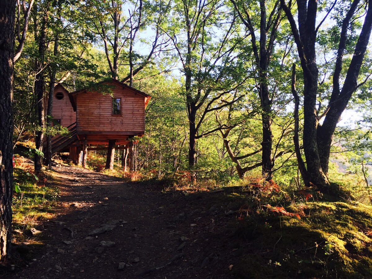 Cabane des Chesnaies