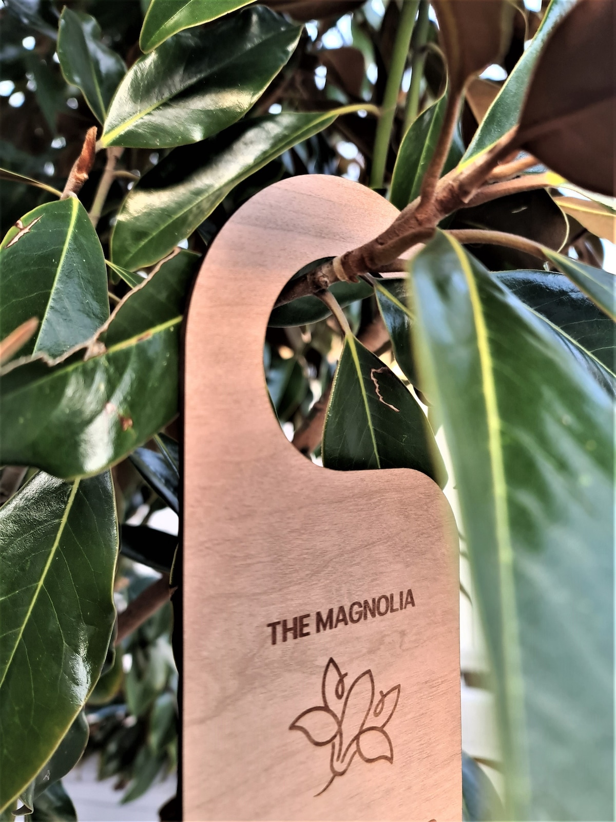 The Magnolia - a boutique 5* cosy suburbian haven