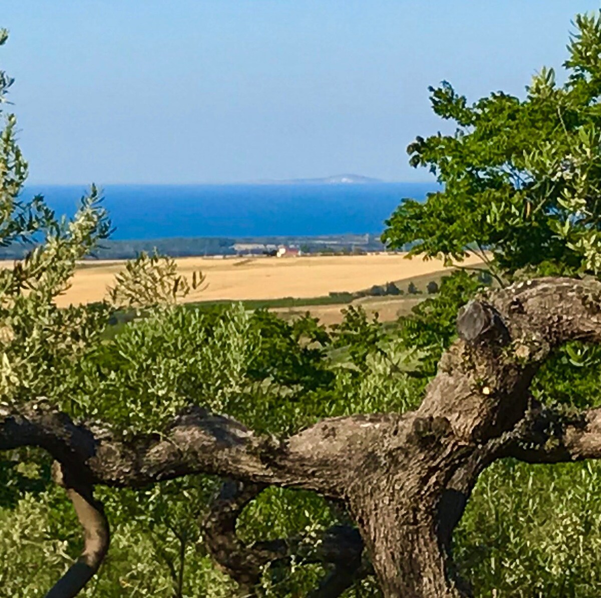 Casa Phoenix; The Tremiti Island View Room