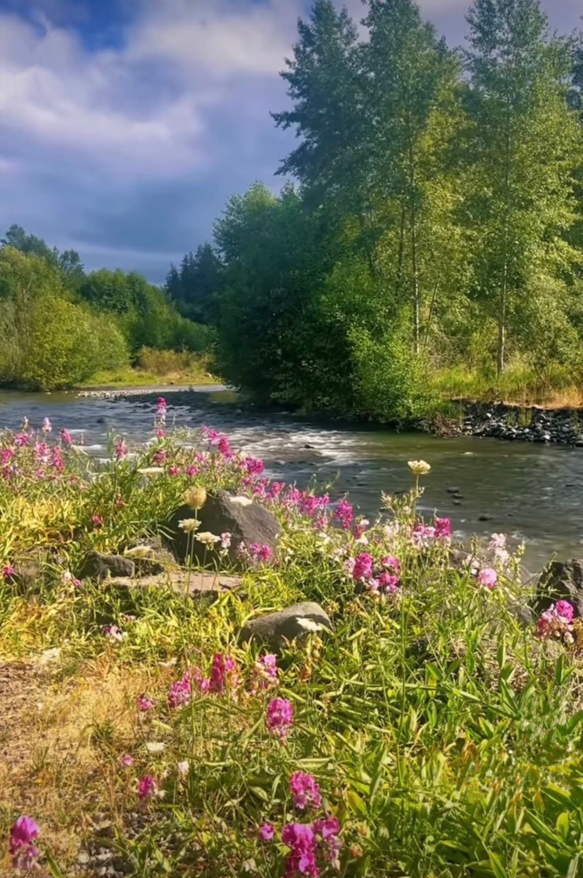 Pray for Salmon Cabin