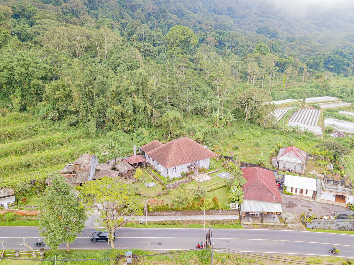 Bedugul's Rustic Wooden Cabin: A Cozy Retreat