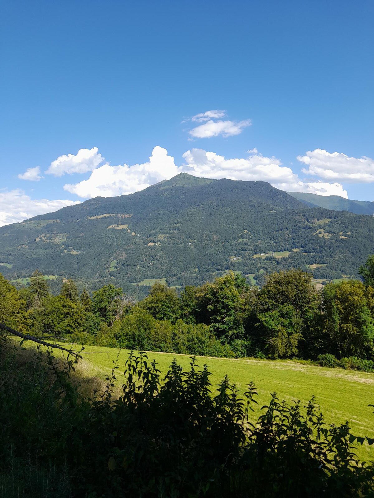 charmant petit chalet savoyard pleine nature