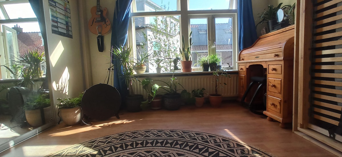 Cosy & quiet plant & book room