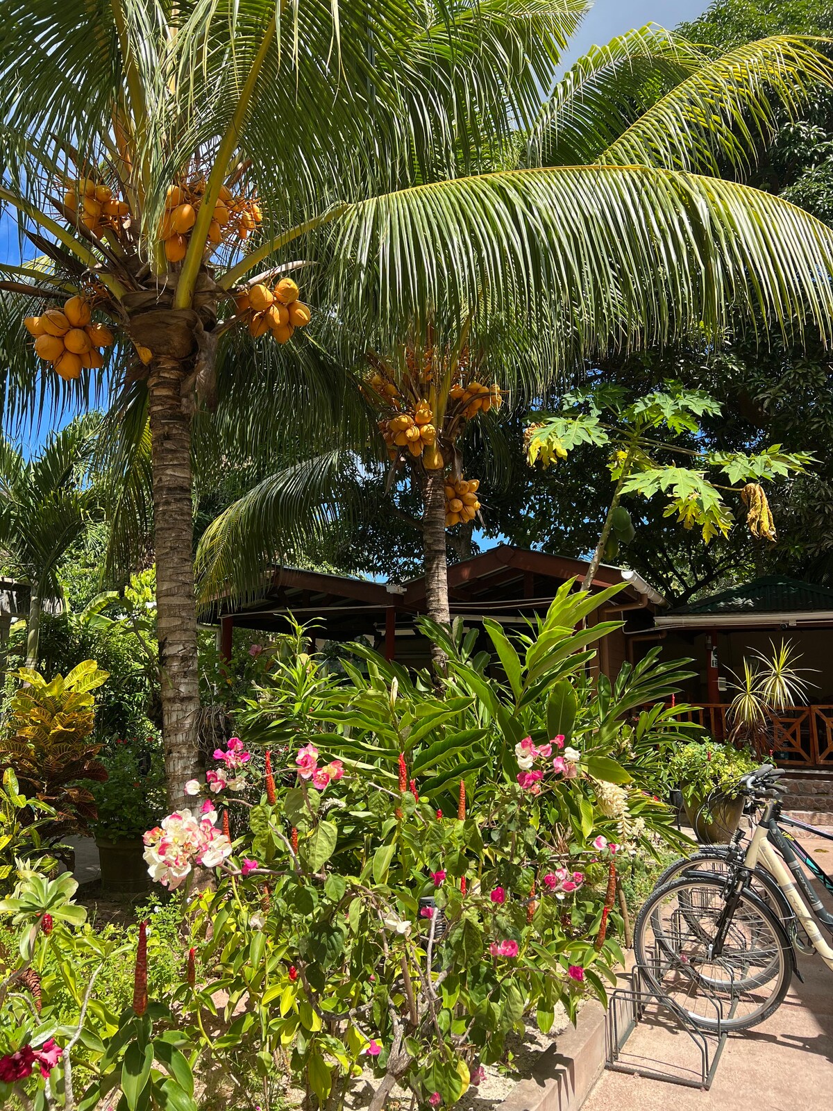 Deluxe ensuite family apartment La Digue