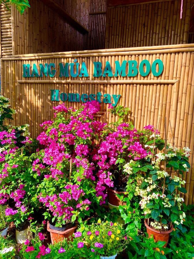 Hang Mua Bamboo Homestay