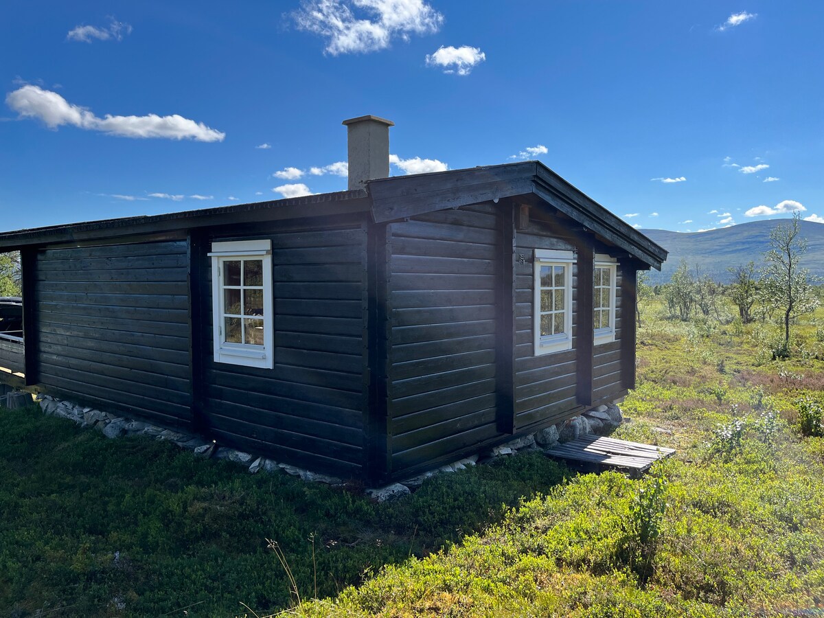 Laftet hytte på fjellet