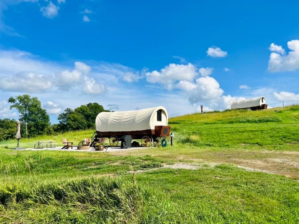 Little Bluestem at Best Nest Farm