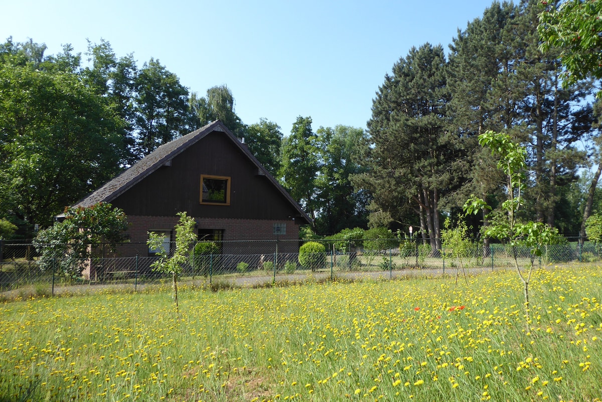 Ferienhaus Borner Mühle