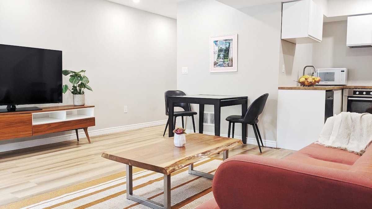 Modern New Apartment in Roncesvalles